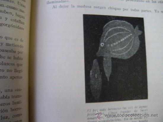 Libros de segunda mano: LIBRO. MARES Y PECES. MANUEL GRA&Ntilde;A. A&Ntilde;O 1953 - Foto 3