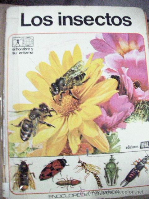Libros de segunda mano: LOS INSECTOS - ENCICLOPEDIA TEMATICA - CG8 - Foto 1
