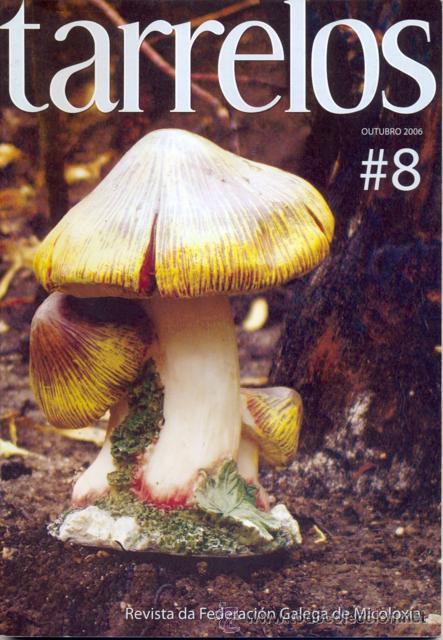 Libros de segunda mano: Tarrelos n&ordf; 8. Setas. Hongos. Micolog&iacute;a - Foto 1