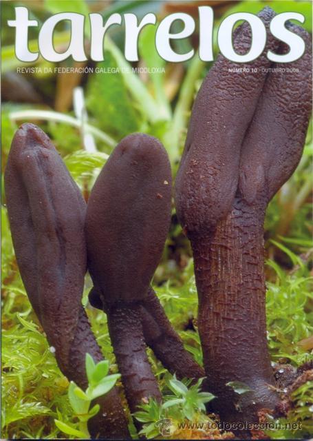 Libros de segunda mano: TARRELOS N&ordm;10. SETAS. HONGOS. MICOLOG&Iacute;A - Foto 1