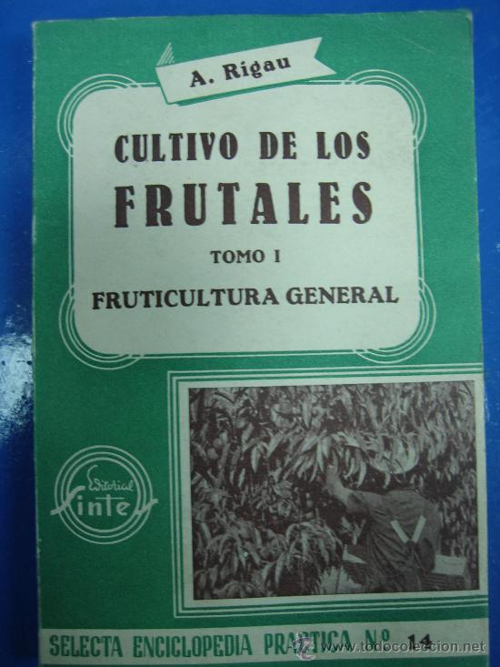 Libros de segunda mano: Cultivos de frutales. A. Rigau 1963 - Foto 1