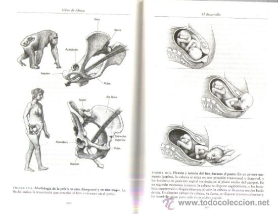 Libros de segunda mano: ILUSTRACIONES EN BLANCO Y NEGRO - Foto 3