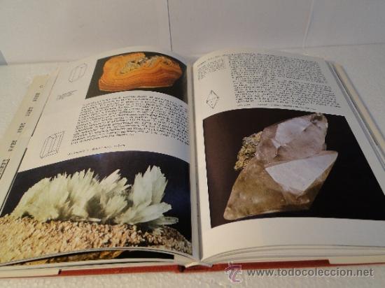 Libros de segunda mano: ENCYCLOP&Eacute;DIE DES MIN&Eacute;RAUX--J.KOURIMSKY---(TEXTO EN FRANCES) - Foto 4