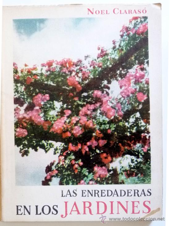 Libros de segunda mano: Enredadera en los Jardines. Noel Claras&oacute; - Foto 1