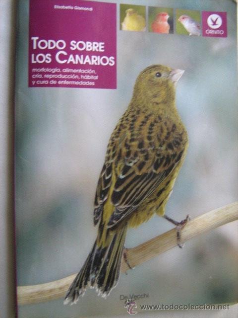 Libros de segunda mano: TODO SOBRE LOS CANARIOS. GISMONDI, Elisabetta. 2007 - Foto 1
