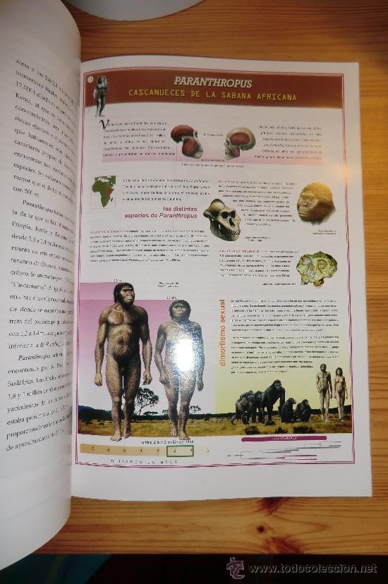 Libros de segunda mano: CATALOGO EXPOSICI&Oacute;N PALEONTOLOG&Iacute;A &rdquo; EL REY DE LOS MONOS&rdquo; - Foto 2