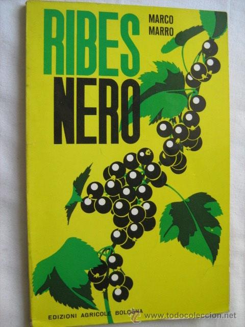 Libros de segunda mano: RIBES NERO. MARRO, Marco. 1961 - Foto 1