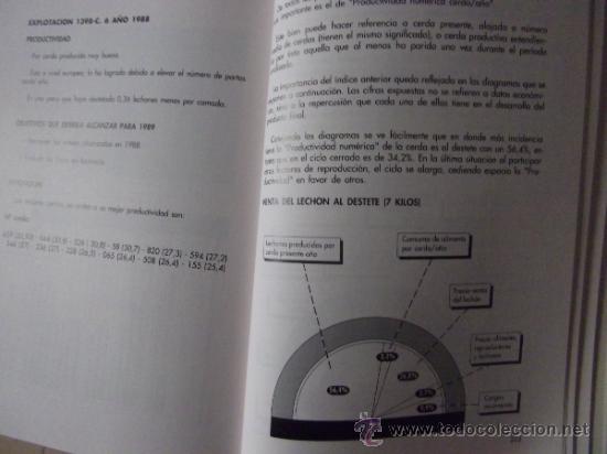Libros de segunda mano: PORCINOCULTURA APLICADA - Foto 9