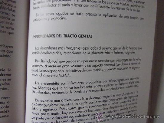 Libros de segunda mano: PORCINOCULTURA APLICADA - Foto 5
