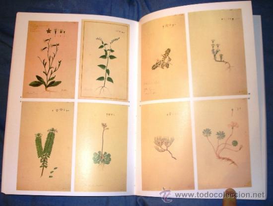 Libros de segunda mano: La Bot&aacute;nica en la Expedici&oacute;n Malaespina.1789 -1794 - Foto 2