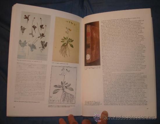 Libros de segunda mano: La Bot&aacute;nica en la Expedici&oacute;n Malaespina.1789 -1794 - Foto 3