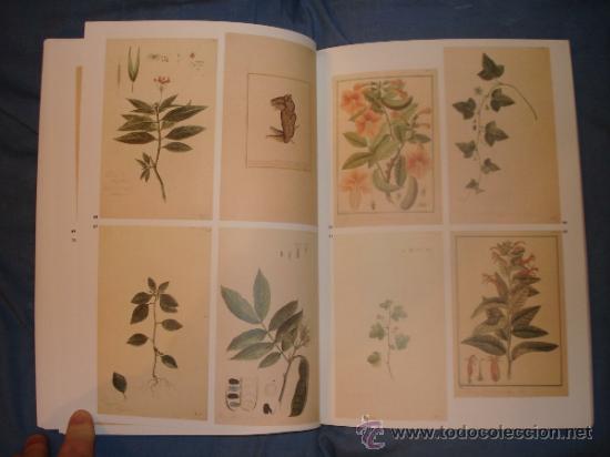 Libros de segunda mano: La Bot&aacute;nica en la Expedici&oacute;n Malaespina.1789 -1794 - Foto 9