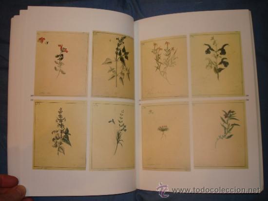 Libros de segunda mano: La Bot&aacute;nica en la Expedici&oacute;n Malaespina.1789 -1794 - Foto 10
