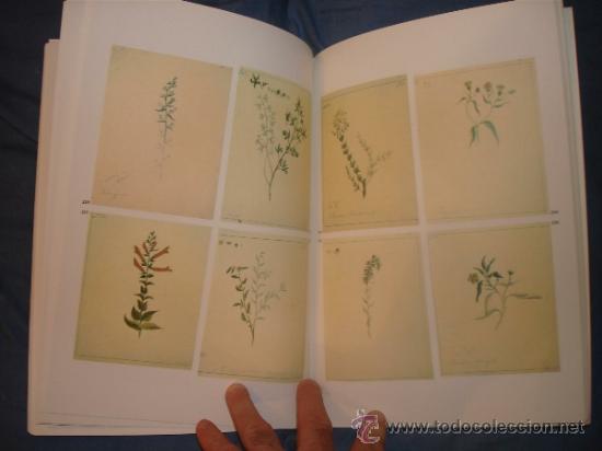 Libros de segunda mano: La Bot&aacute;nica en la Expedici&oacute;n Malaespina.1789 -1794 - Foto 11