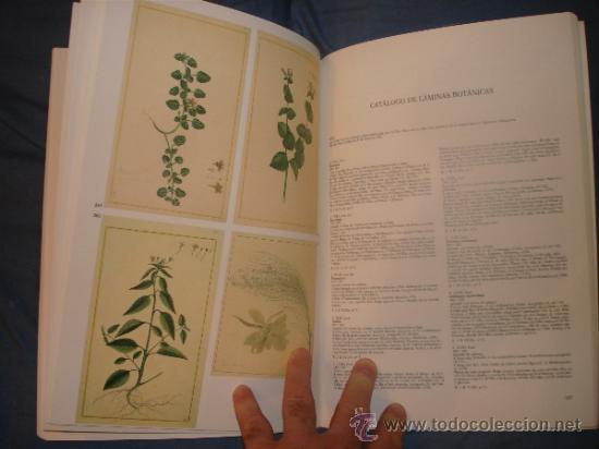 Libros de segunda mano: La Bot&aacute;nica en la Expedici&oacute;n Malaespina.1789 -1794 - Foto 12