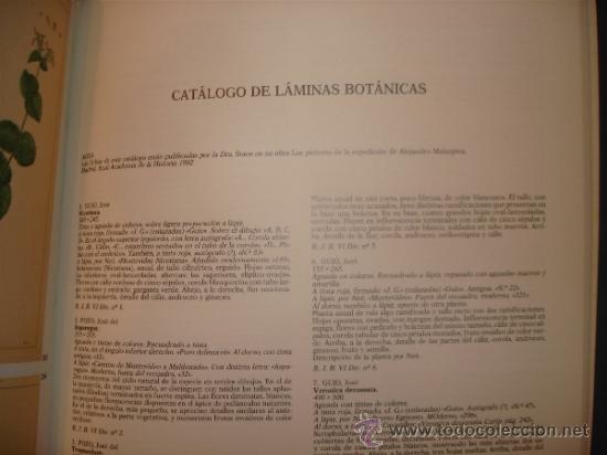 Libros de segunda mano: La Bot&aacute;nica en la Expedici&oacute;n Malaespina.1789 -1794 - Foto 13