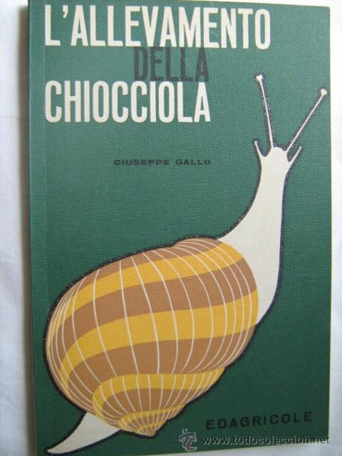 Libros de segunda mano: L&acute;ALLEVAMENTO DELLA CHIOCCIOLA. GALLO, Giuseppe. 1969 - Foto 1