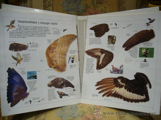 Libros de segunda mano: ENCICLOPEDIA VISUAL DE LOS SERES VIVOS. TRES TOMOS. COMPLETO. - Foto 4