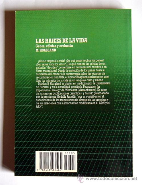 Libros de segunda mano: LAS RAICES DE LA VIDA - GENES, CELULAS Y EVOLUCION -  M. HOAGLAND - Foto 2