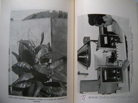 Libros de segunda mano: LIBRO EL TABACO. CAMARA OFICIAL SINDICAL AGRARIA DE SEVILLA - Foto 2
