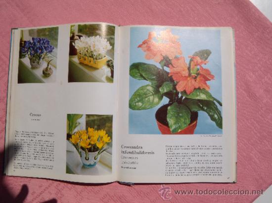 Libros de segunda mano: PLANTAS DE INTERIOR - Foto 3