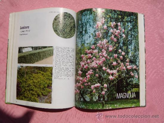 Libros de segunda mano: ARBUSTOS DE ORNAMENTO - Foto 3