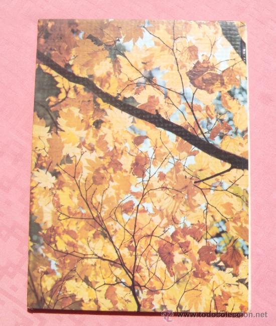 Libros de segunda mano: ARBOLES DE ORNAMENTO - Foto 2