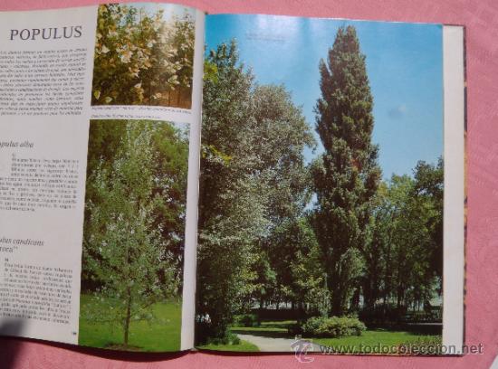 Libros de segunda mano: ARBOLES DE ORNAMENTO - Foto 3