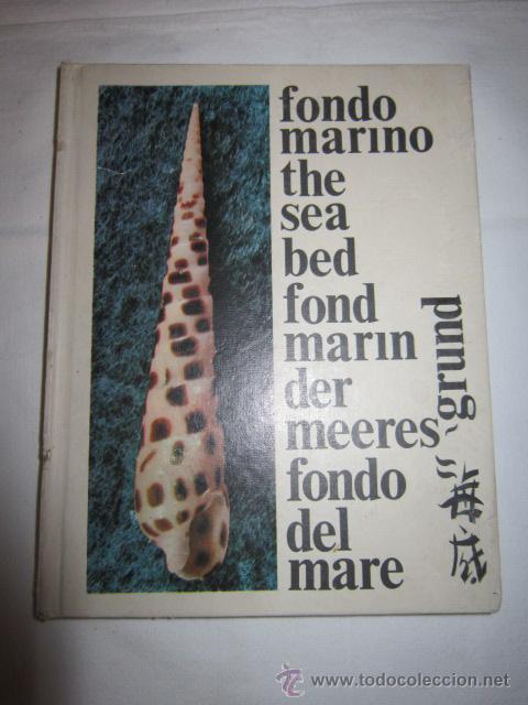 Libros de segunda mano: FONDO DEL MAR. Preciosas im&aacute;genes. - Foto 1