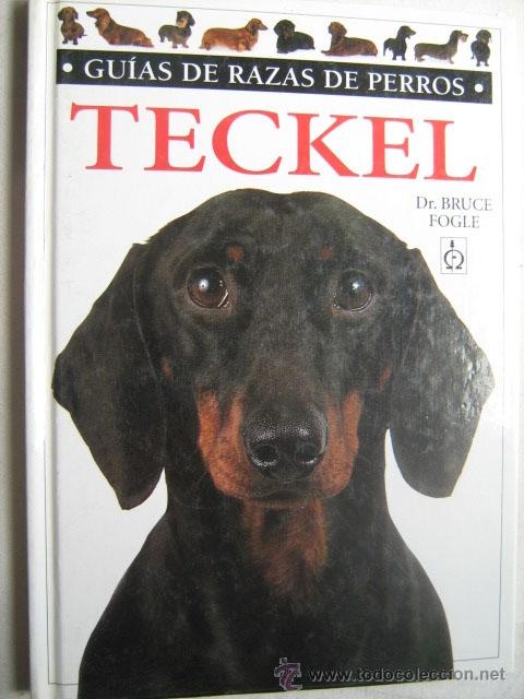 Libros de segunda mano: TECKEL. FOGLE, Bruce. 1997 - Foto 1