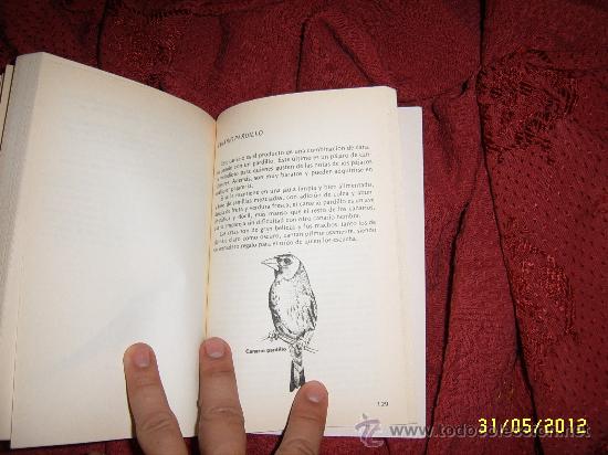 Libros de segunda mano: W. CRAWFORD.  CANARIOS. - Foto 3