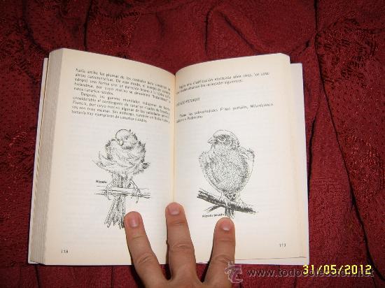 Libros de segunda mano: W. CRAWFORD.  CANARIOS. - Foto 4