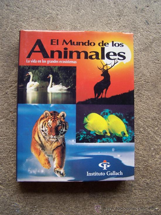 Libros de segunda mano: El mundo de los animales, instituto Gallach. - Foto 1