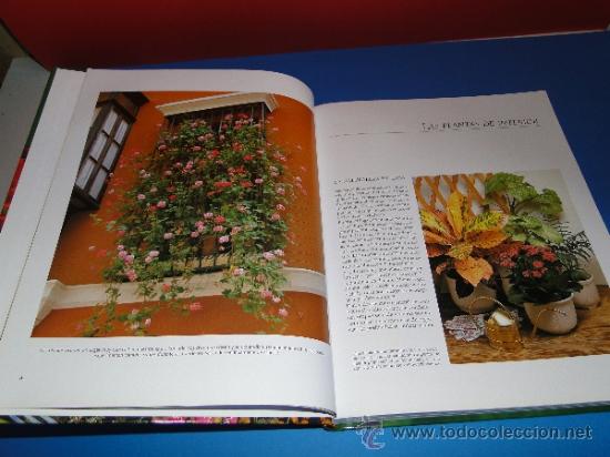 Libros de segunda mano: EL GRAN LIBRO DE LA JARDINERIA - EDICIONES RUEDA - Foto 2