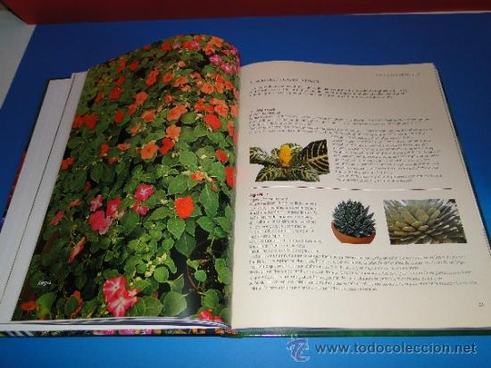 Libros de segunda mano: EL GRAN LIBRO DE LA JARDINERIA - EDICIONES RUEDA - Foto 3