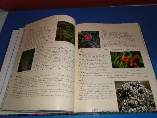 Libros de segunda mano: EL GRAN LIBRO DE LA JARDINERIA - EDICIONES RUEDA - Foto 4