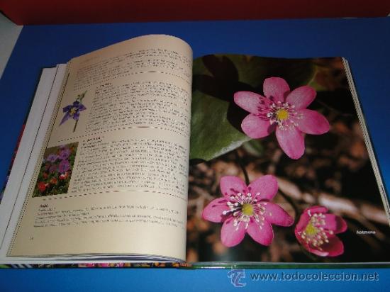 Libros de segunda mano: EL GRAN LIBRO DE LA JARDINERIA - EDICIONES RUEDA - Foto 5