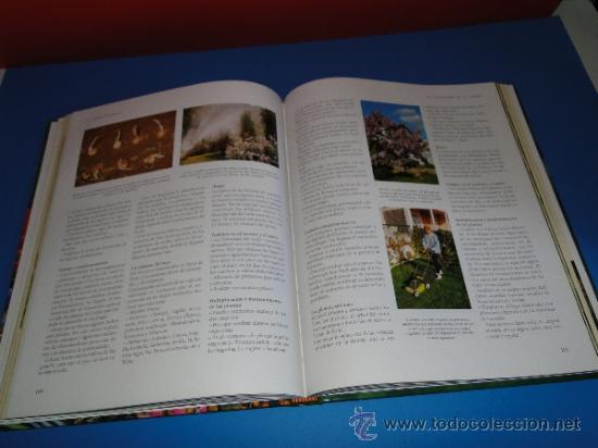 Libros de segunda mano: EL GRAN LIBRO DE LA JARDINERIA - EDICIONES RUEDA - Foto 6