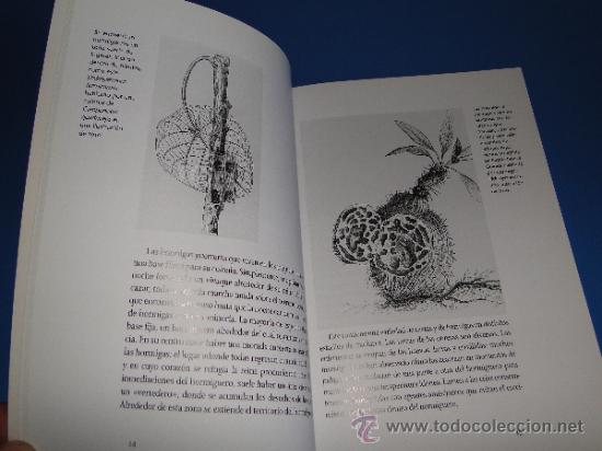Libros de segunda mano: HORMIGA .---SLEIGH CHARLOTTE - Foto 2