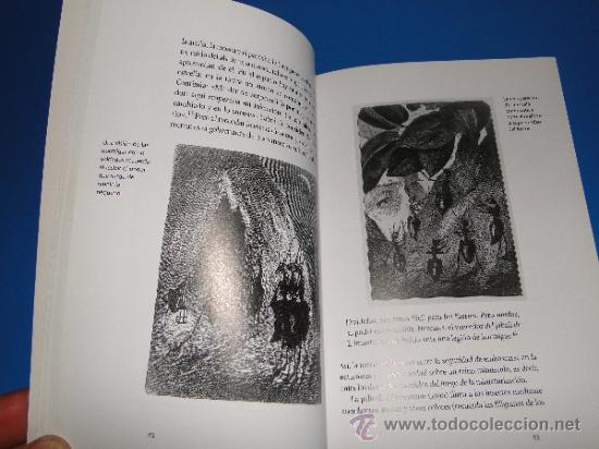 Libros de segunda mano: HORMIGA .---SLEIGH CHARLOTTE - Foto 3