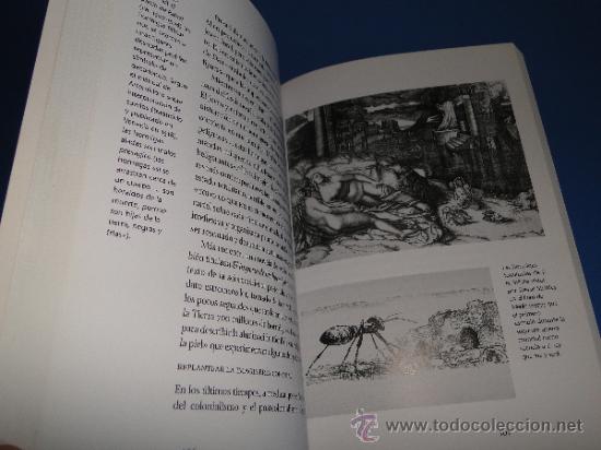 Libros de segunda mano: HORMIGA .---SLEIGH CHARLOTTE - Foto 4