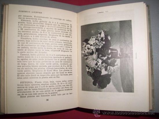 Libros de segunda mano: LICEVER, Roberto - Plantas de jard&iacute;n - Foto 2
