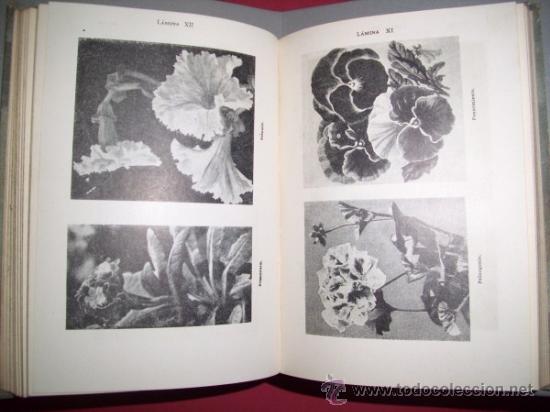Libros de segunda mano: LICEVER, Roberto - Plantas de jard&iacute;n - Foto 3