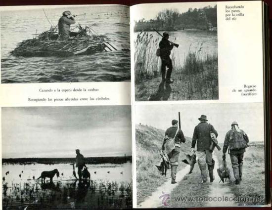 Libros de segunda mano: Nard, Jean: Aves acu&aacute;ticas - caza - - Foto 2