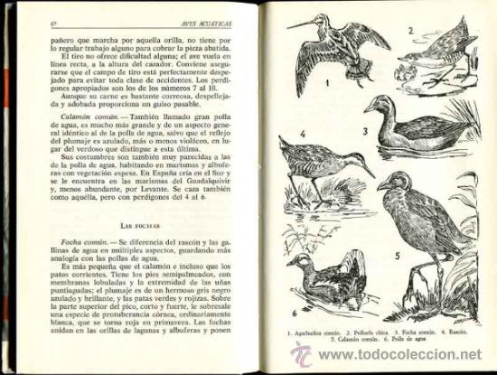 Libros de segunda mano: Nard, Jean: Aves acu&aacute;ticas - caza - - Foto 3