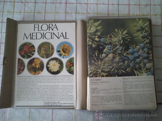 Libros de segunda mano: Flora Medicinal Lote De 100 L&aacute;minas De Los Laboratorios Emyfar De 1974. - Foto 3