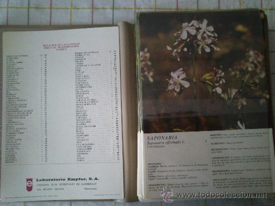 Libros de segunda mano: Flora Medicinal Lote De 100 L&aacute;minas De Los Laboratorios Emyfar De 1974. - Foto 5
