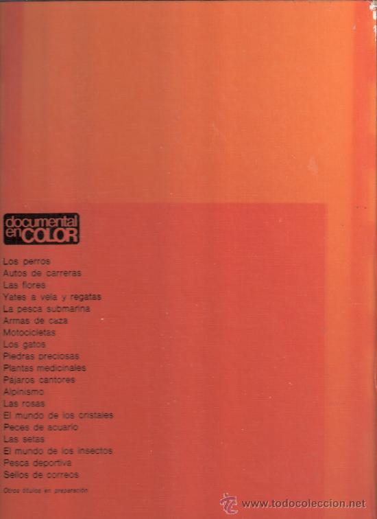 Libros de segunda mano: Las Setas. Documental en Color.Rd. Teide,S.A.Instituto Geogr&aacute;fico de Agostini.1973. - Foto 2