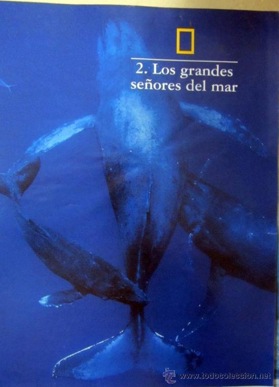 Libros de segunda mano: LOS REINOS DEL MAR - EL PAIS - Foto 4
