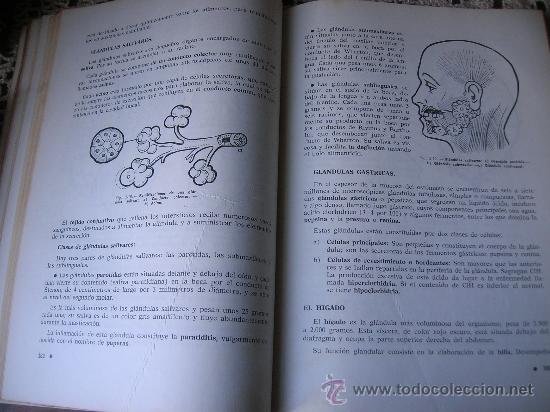 Libros de segunda mano: BIOLOGIA  Preuniversitario-a&ntilde;o 1965- - Foto 2